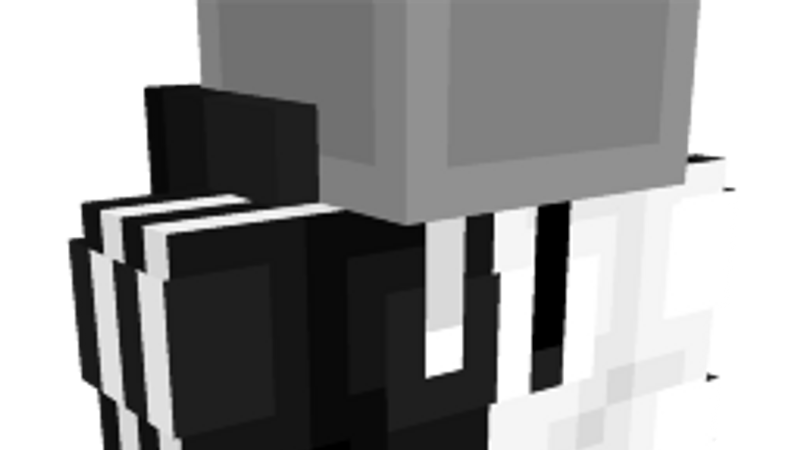Black White Top on the Minecraft Marketplace by Red Eagle Studios